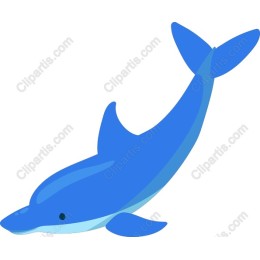 Blue Dolphin