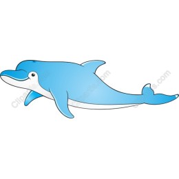 Dolphin Delight