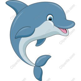 Charming Dolphin