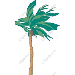 Lush Tropical Palm Tree