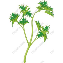 Lively Green Foliage