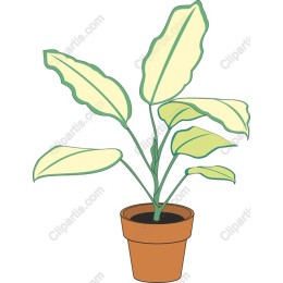 Charming Potted Plant