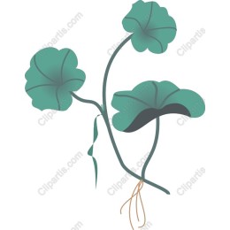 Abstract Green Plant