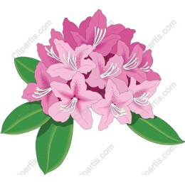 Vibrant Rhododendron Bouquet