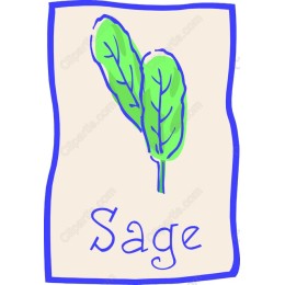 Charming Sage Leaves