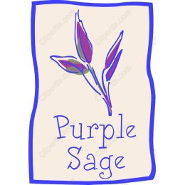 Purple Sage