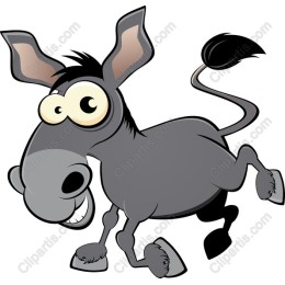 Playful Donkey