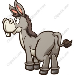 Playful Donkey