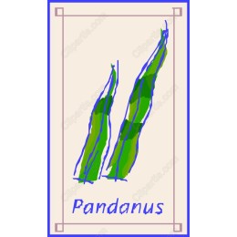Pandanus