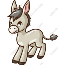 Playful Donkey
