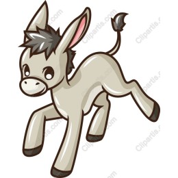 Playful Donkey