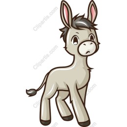 Playful Donkey