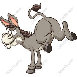 Feisty Donkey