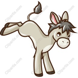 Playful Donkey
