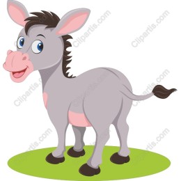 Playful Donkey
