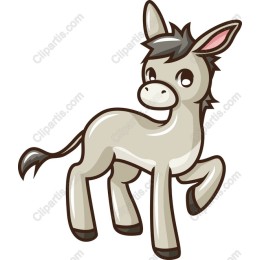 Playful Donkey