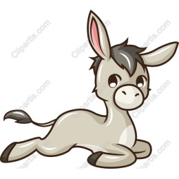 Playful Donkey