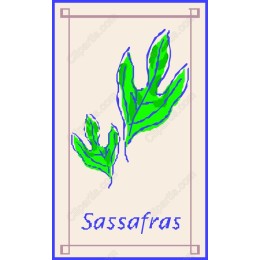 Sassafras Leaf