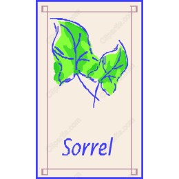 Sorrel Leaves - Fresh and Vibrant
