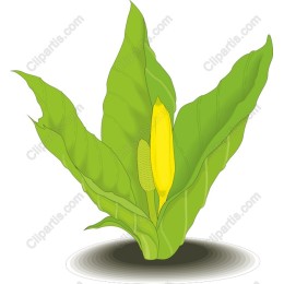 Lush Green Plant with Yellow Blossom