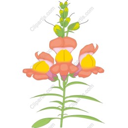 Vibrant Floral Blossom