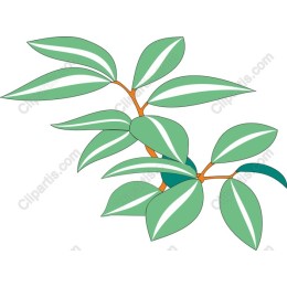 Elegant Green Leaf Branch