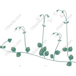 Delicate Floral Vine