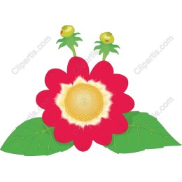 Vibrant Red Flower