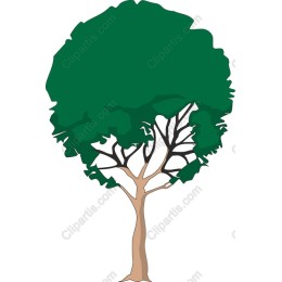Nature's Embrace: Tree