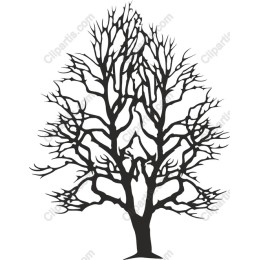 Bare Tree