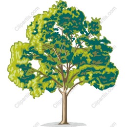 Lush Green Tree