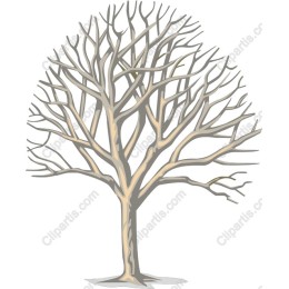 Bare Tree