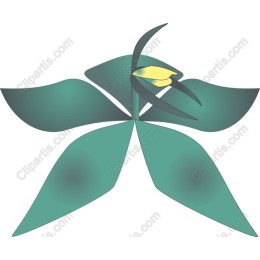 Elegant Orchid