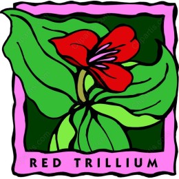 Red Trillium