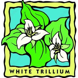 White Trilliumwork