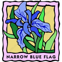 Narrow Blue Flag