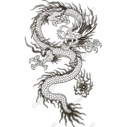 Majestic Dragon