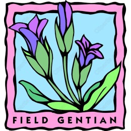 Field Gentian Floral