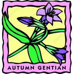 Autumn Gentian Floral