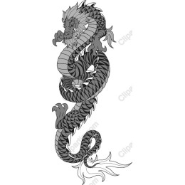 Majestic Dragon