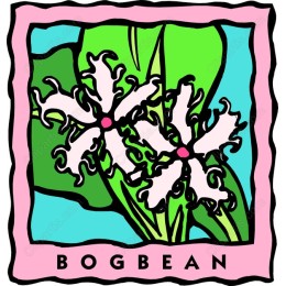 Bogbean