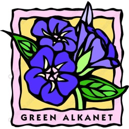 Green Alkanet Floral