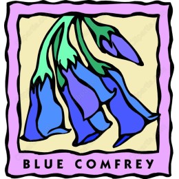 Blue Comfrey Floral