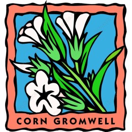 Corn Gromwell Floral