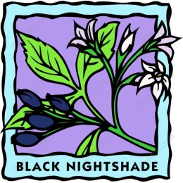 Black Nightshade
