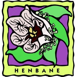 Henbane Floral