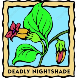 Deadly Nightshade