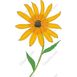 Cheerful Yellow Flower