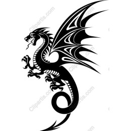 Majestic Black Dragon