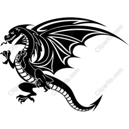 Fierce Black Dragon
